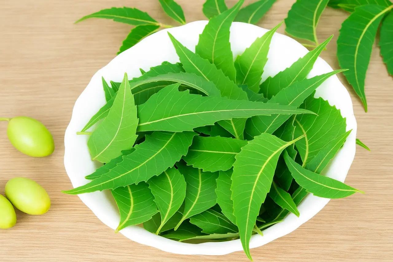 🌿 Neem: The 21st Century Ayurvedic Super Herb for Total Wellness
